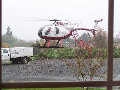 Christmas tree chopper