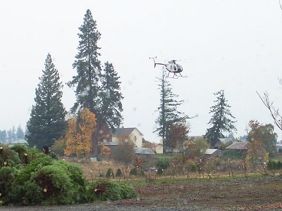 Christmas tree chopper