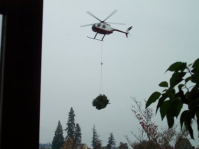 Christmas tree chopper